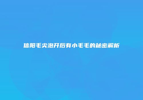 信阳毛尖泡开后有小毛毛的秘密解析
