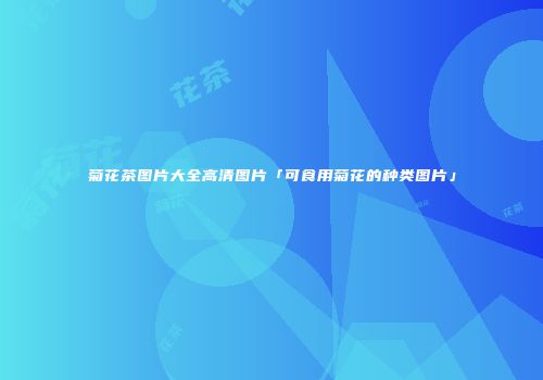 菊花茶图片大全高清图片「可食用菊花的种类图片」