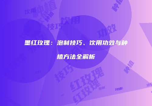 墨红玫瑰：泡制技巧、饮用功效与种植方法全解析