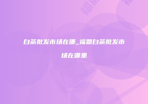 白茶批发市场在哪_福鼎白茶批发市场在哪里