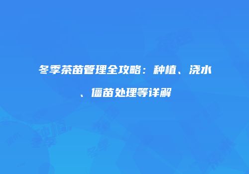 冬季茶苗管理全攻略：种植、浇水、僵苗处理等详解
