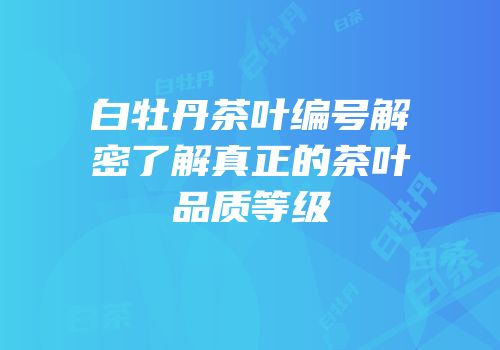 白牡丹茶叶编号解密了解真正的茶叶品质等级