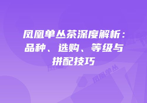 凤凰单丛茶深度解析：品种、选购、等级与拼配技巧