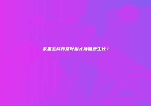 家里怎样养茶叶树才能健康生长？