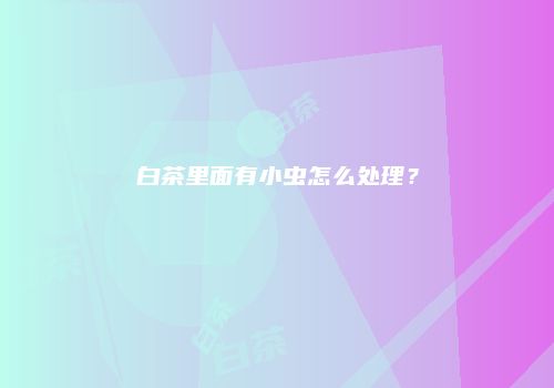白茶里面有小虫怎么处理？