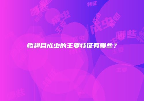 鳞翅目成虫的主要特征有哪些？