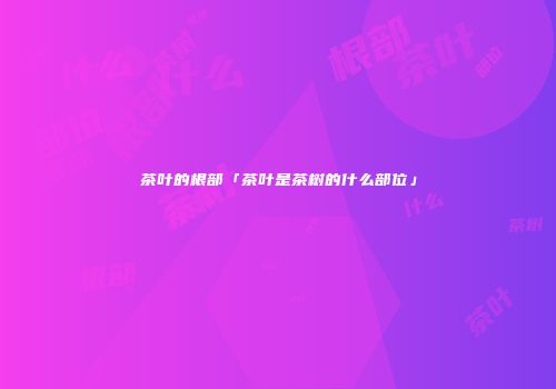 茶叶的根部「茶叶是茶树的什么部位」