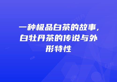 一种极品白茶的故事,白牡丹茶的传说与外形特性