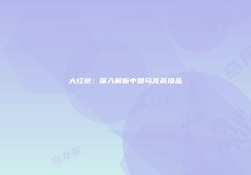 大红袍：深入解析中国乌龙茶珍品