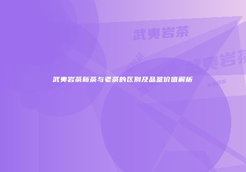武夷岩茶新茶与老茶的区别及品鉴价值解析