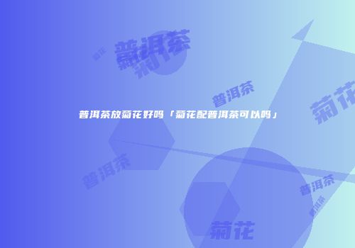 普洱茶放菊花好吗「菊花配普洱茶可以吗」