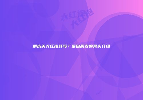 桐木关大红袍好吗？来自茶农的真实介绍