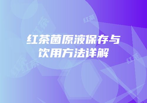 红茶菌原液保存与饮用方法详解