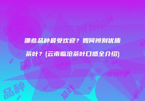哪些品种最受欢迎？如何辨别优质茶叶？(云南临沧茶叶口感全介绍)