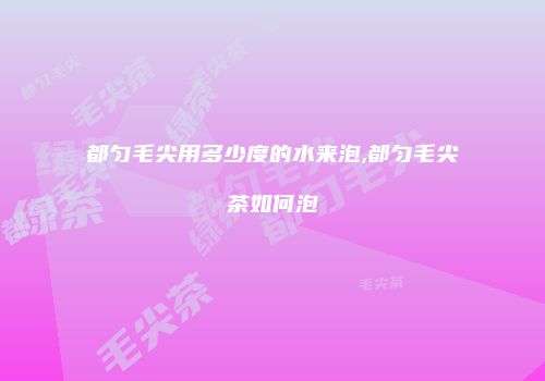 都匀毛尖用多少度的水来泡,都匀毛尖茶如何泡