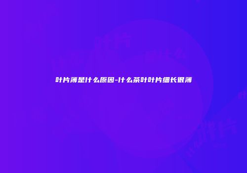 叶片薄是什么原因-什么茶叶叶片细长很薄