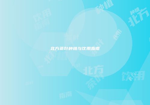 北方茶叶种植与饮用指南