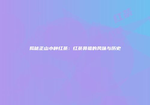 揭秘正山小种红茶：红茶鼻祖的风味与历史