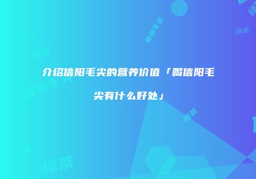 介绍信阳毛尖的营养价值「喝信阳毛尖有什么好处」