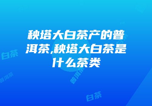 秧塔大白茶产的普洱茶,秧塔大白茶是什么茶类