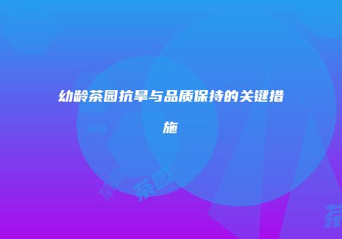 幼龄茶园抗旱与品质保持的关键措施