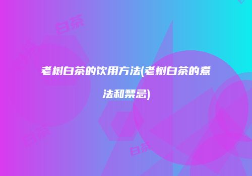 老树白茶的饮用方法(老树白茶的煮法和禁忌)