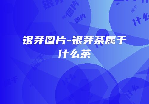 银芽图片-银芽茶属于什么茶