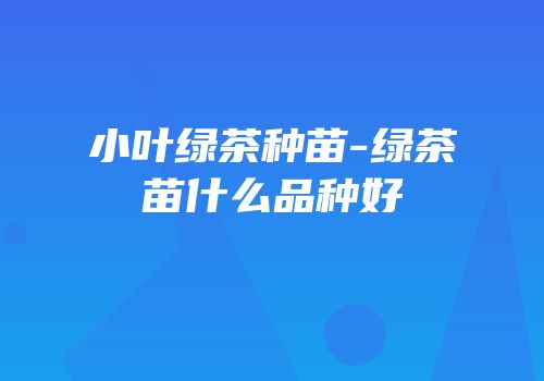 小叶绿茶种苗-绿茶苗什么品种好
