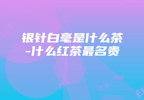 银针白毫是什么茶-什么红茶最名贵