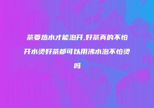 茶要热水才能泡开,好茶真的不怕开水烫好茶都可以用沸水泡不怕烫吗