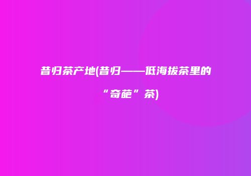 昔归茶产地(昔归——低海拔茶里的“奇葩”茶)