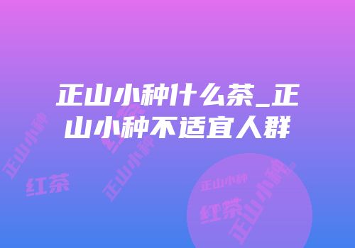 正山小种什么茶_正山小种不适宜人群
