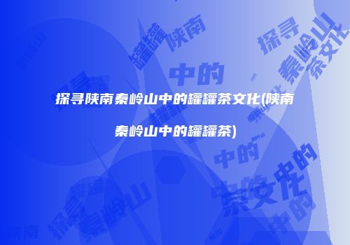 探寻陕南秦岭山中的罐罐茶文化(陕南秦岭山中的罐罐茶)