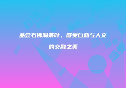 品尝石佛洞茶叶，感受自然与人文的交融之美