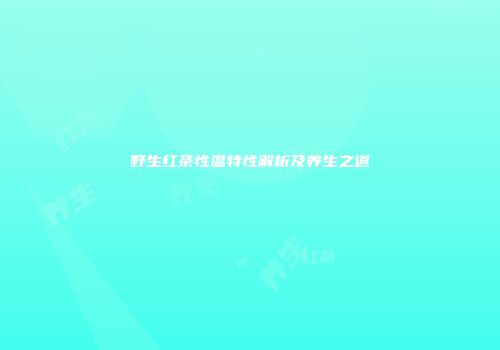 野生红茶性温特性解析及养生之道