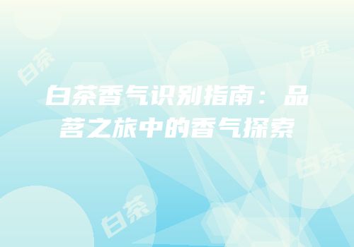 白茶香气识别指南：品茗之旅中的香气探索