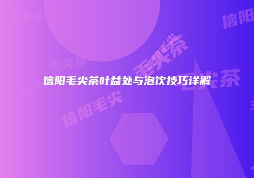 信阳毛尖茶叶益处与泡饮技巧详解