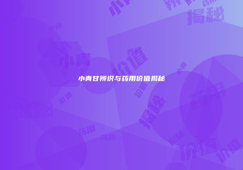小青甘辨识与药用价值揭秘