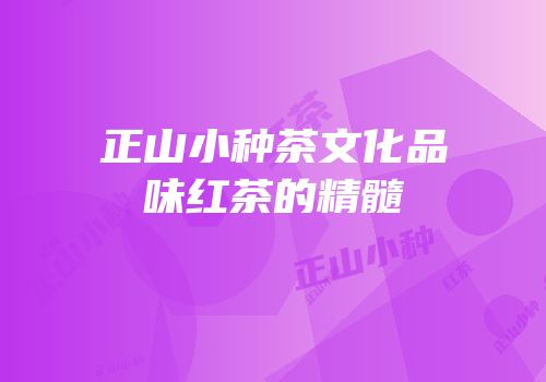 正山小种茶文化品味红茶的精髓