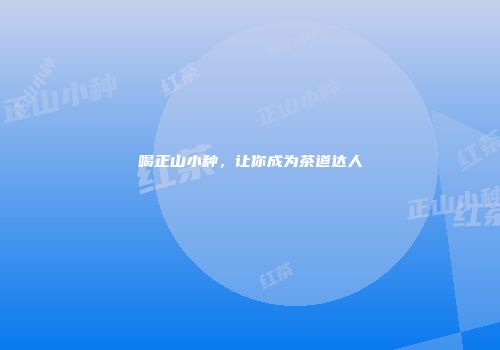喝正山小种，让你成为茶道达人