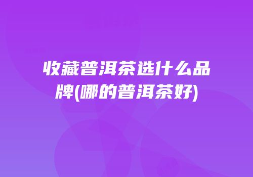 收藏普洱茶选什么品牌(哪的普洱茶好)