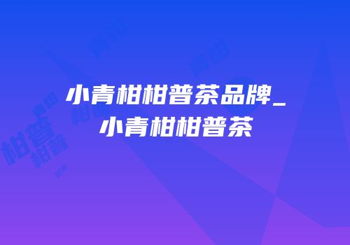 小青柑柑普茶品牌_小青柑柑普茶