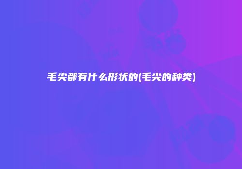 毛尖都有什么形状的(毛尖的种类)