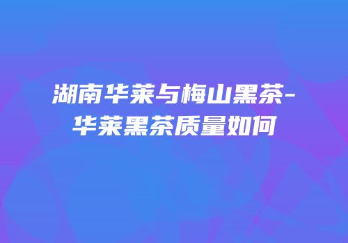 湖南华莱与梅山黑茶-华莱黑茶质量如何