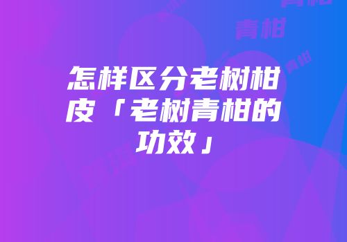 怎样区分老树柑皮「老树青柑的功效」