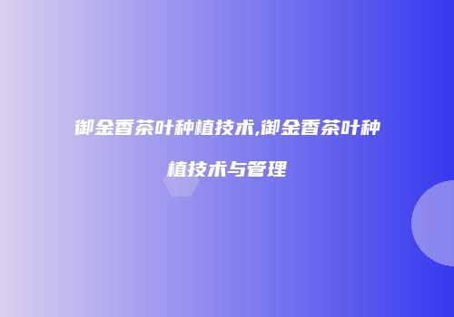御金香茶叶种植技术,御金香茶叶种植技术与管理
