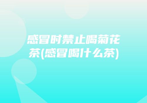 感冒时禁止喝菊花茶(感冒喝什么茶)