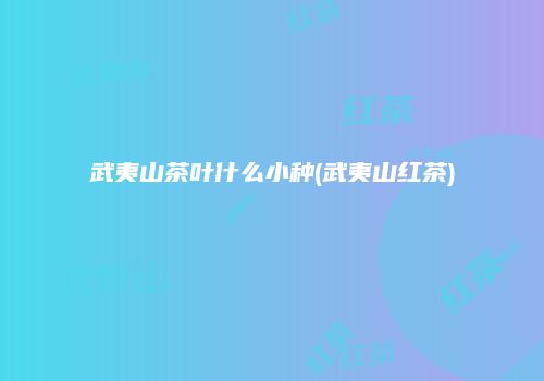 武夷山茶叶什么小种(武夷山红茶)