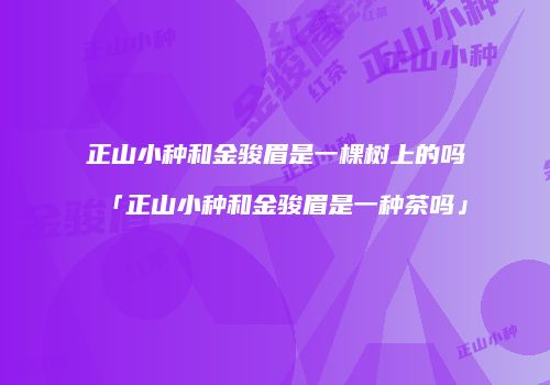 正山小种和金骏眉是一棵树上的吗「正山小种和金骏眉是一种茶吗」
