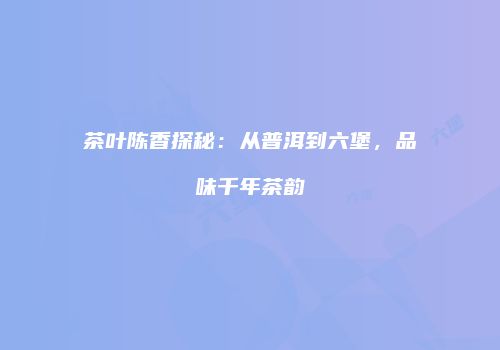 茶叶陈香探秘：从普洱到六堡，品味千年茶韵